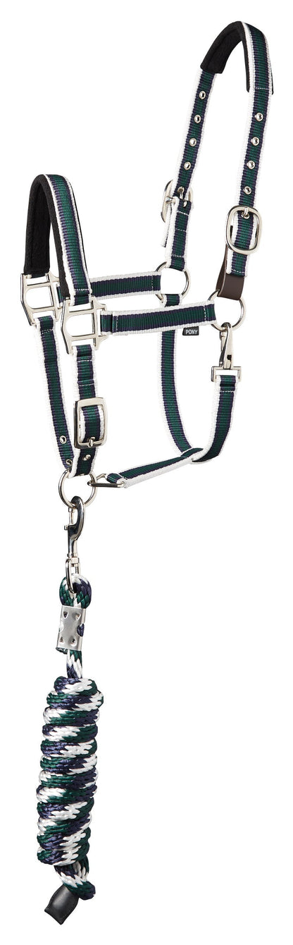 Suffolk Padded Striped Breakaway Halter & Lead