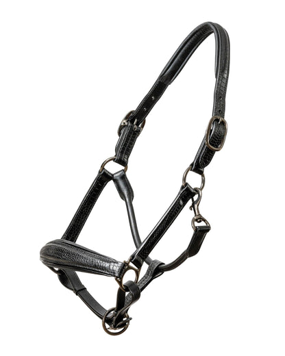 Halter Ego Doc Marten Padded Halter