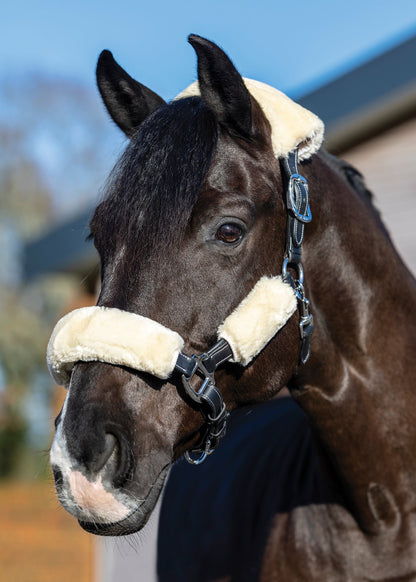 LeMieux Simuwool 4-Piece Halter Set