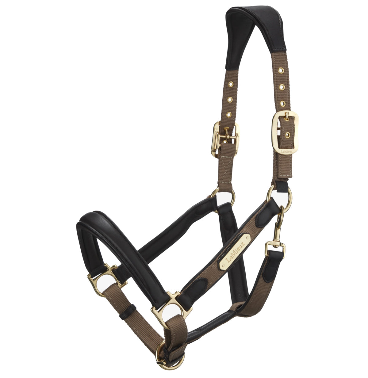 LeMieux Capella Headcollar