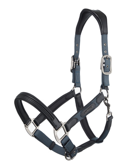 LeMieux Capella Headcollar