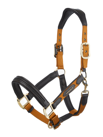 LeMieux Capella Headcollar