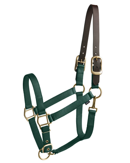 Suffolk Heavy Nylon Halter with Breakaway Crown