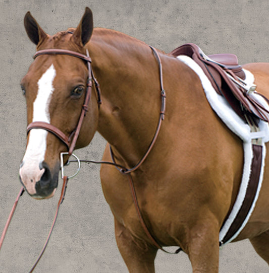 Rodrigo Raised Fancy Stitched Martingale