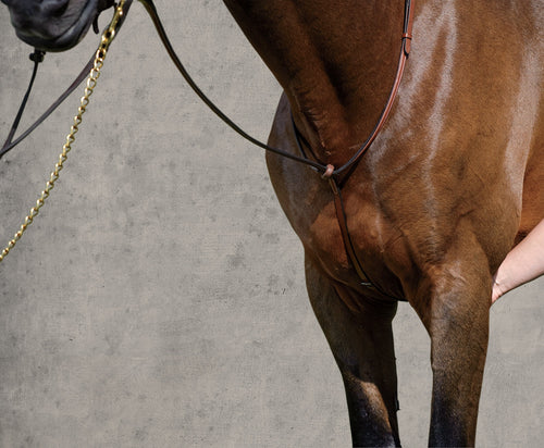 Suffolk Raised Standing Martingale