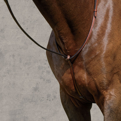 Suffolk Raised Standing Martingale
