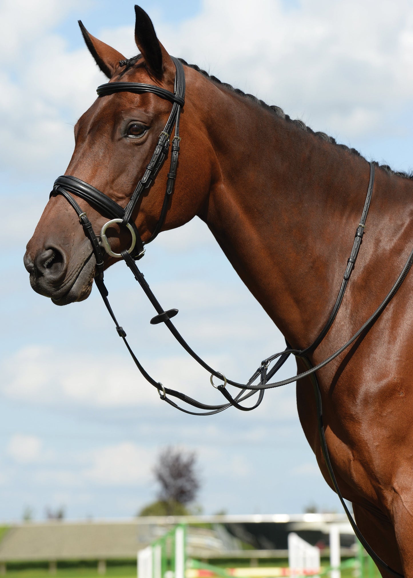 Collegiate Syntovia+ Plain Flat Running Martingale