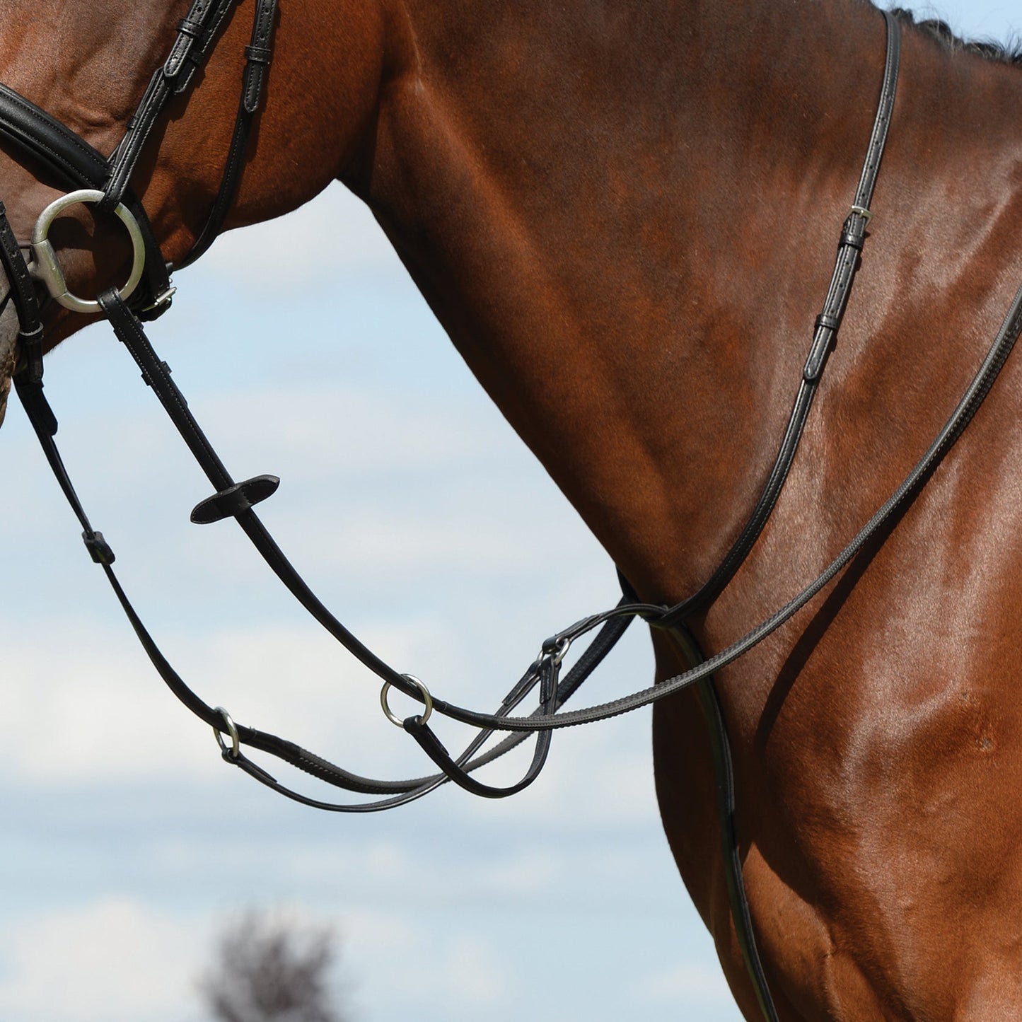 Collegiate Syntovia+ Plain Flat Running Martingale