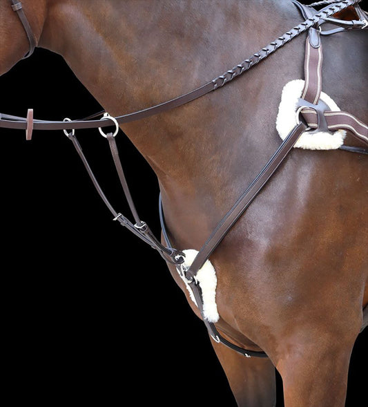 Shires Rossano Five-Point Breastplate