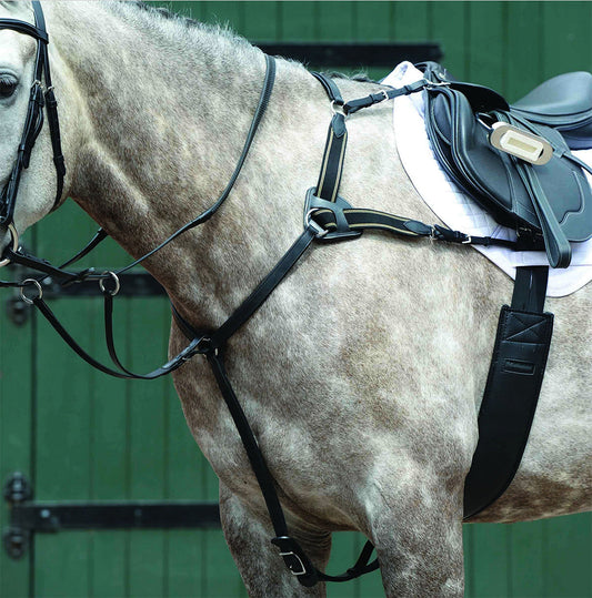 Collegiate Essential 5-Point Breastplate
