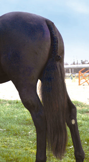 Tail Tamer Hunter Trophy Tails
