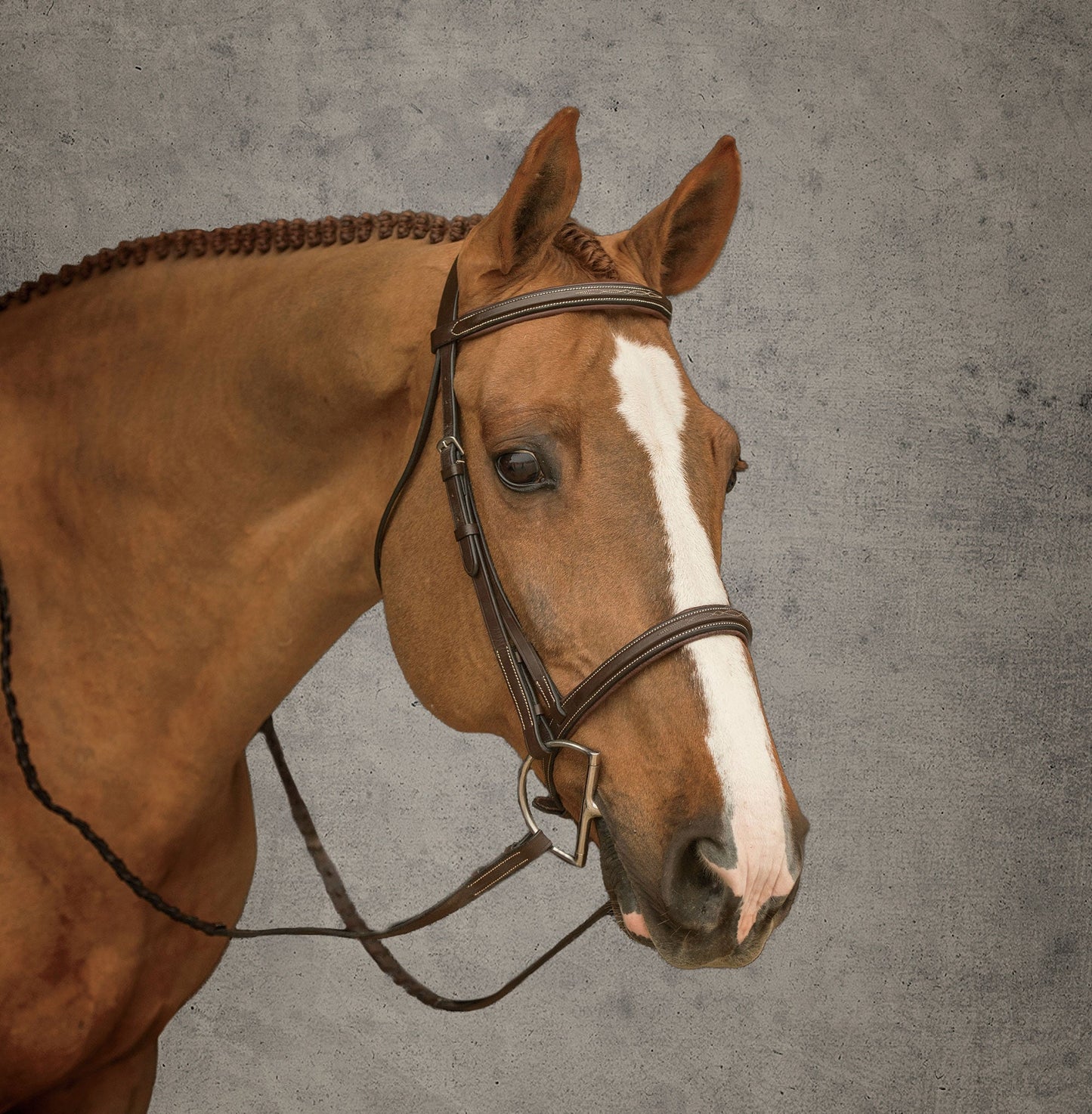 Suffolk Hunter Bridle
