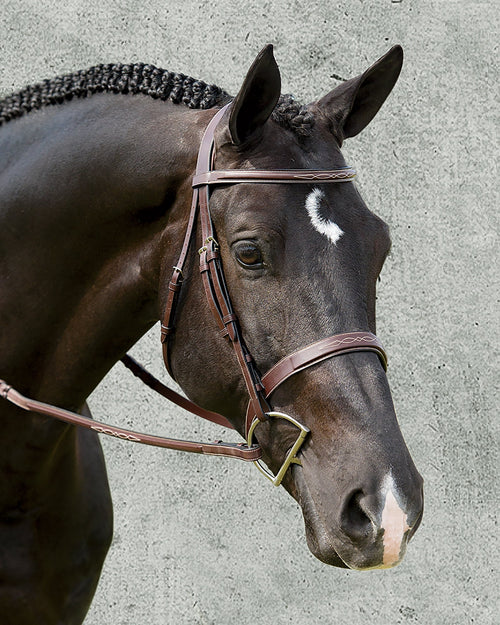 Dy'on Wide Nose Hunter Bridle