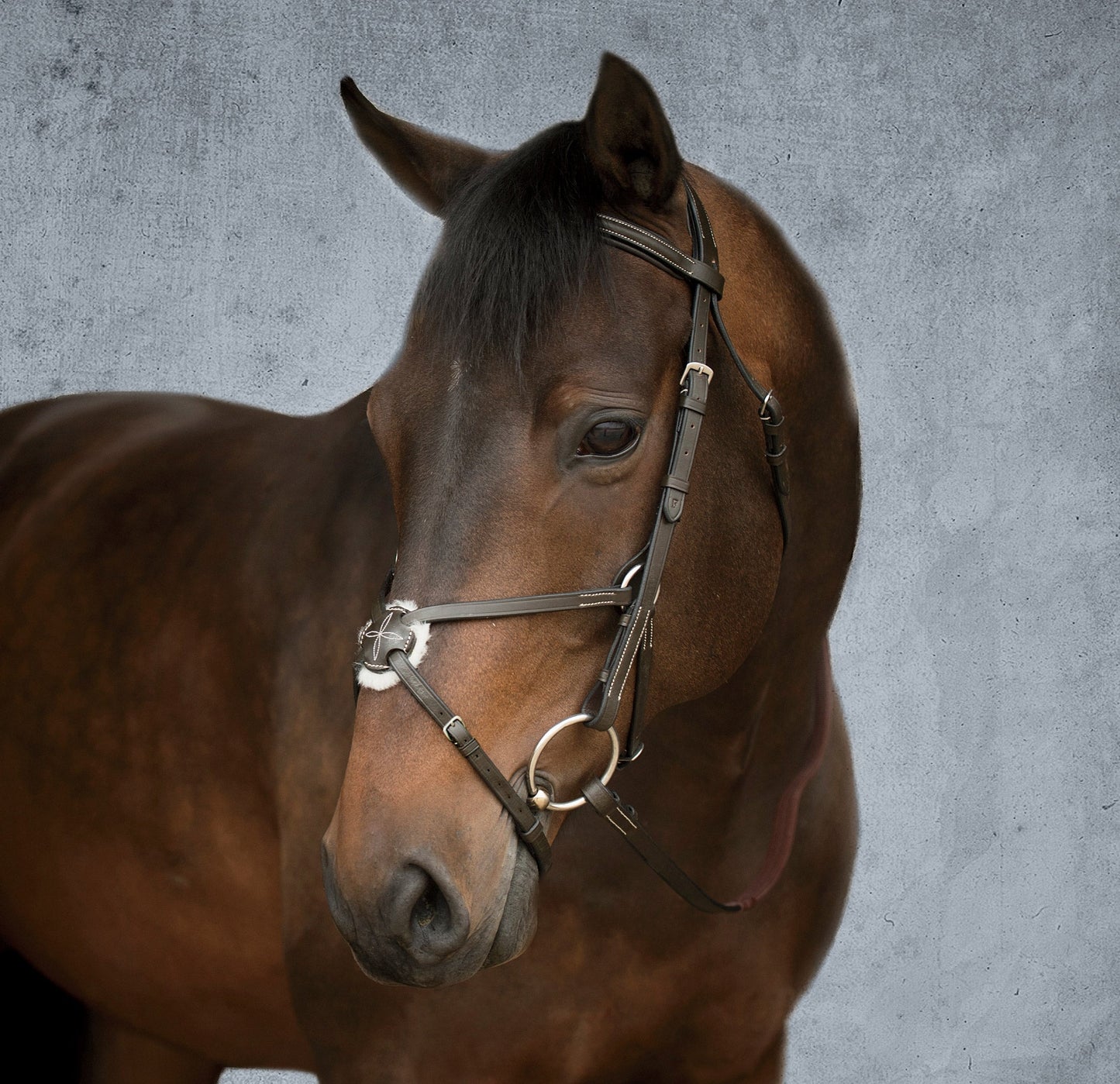 Suffolk Figure-8 Bridle