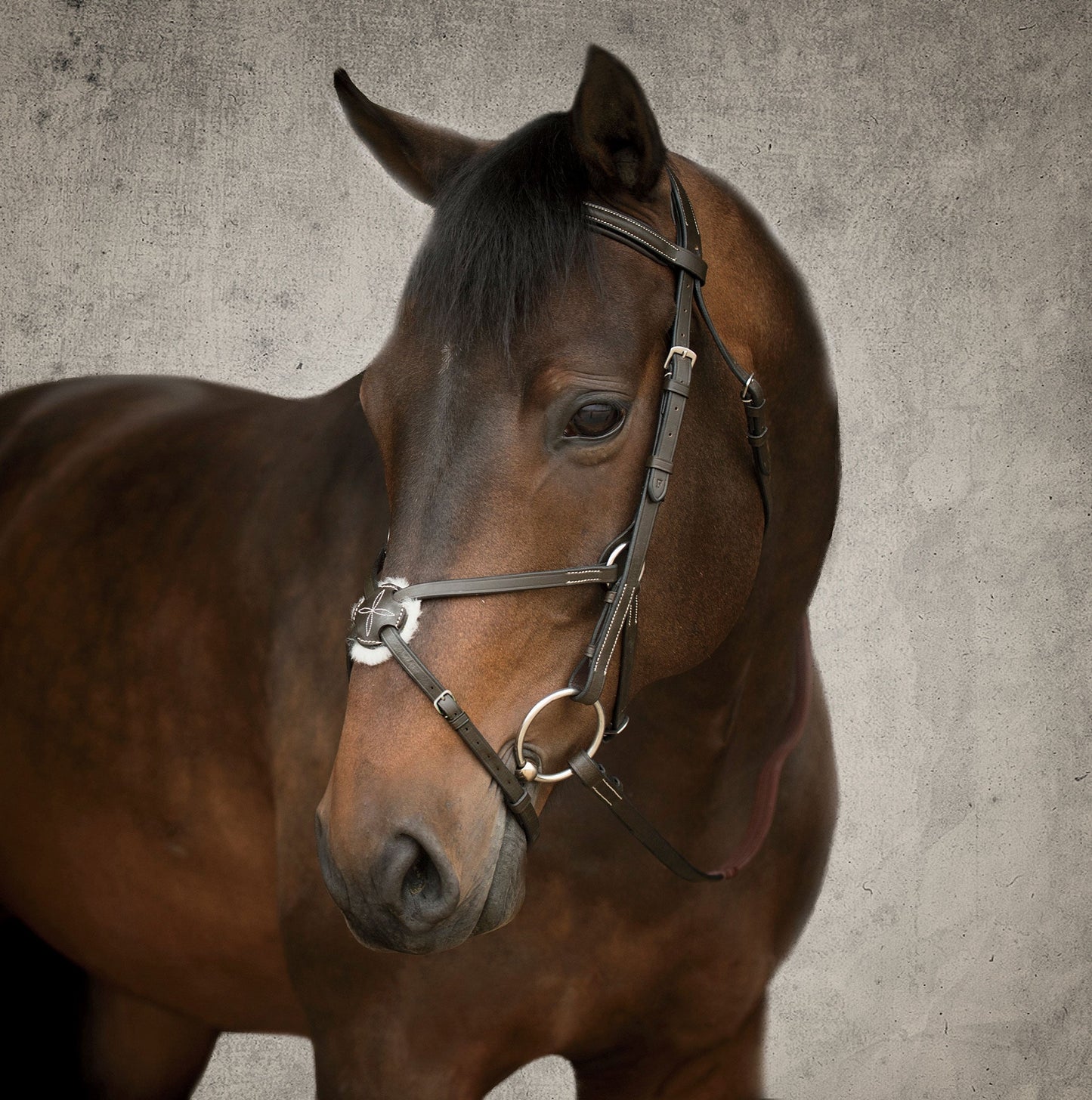 Suffolk Figure-8 Bridle