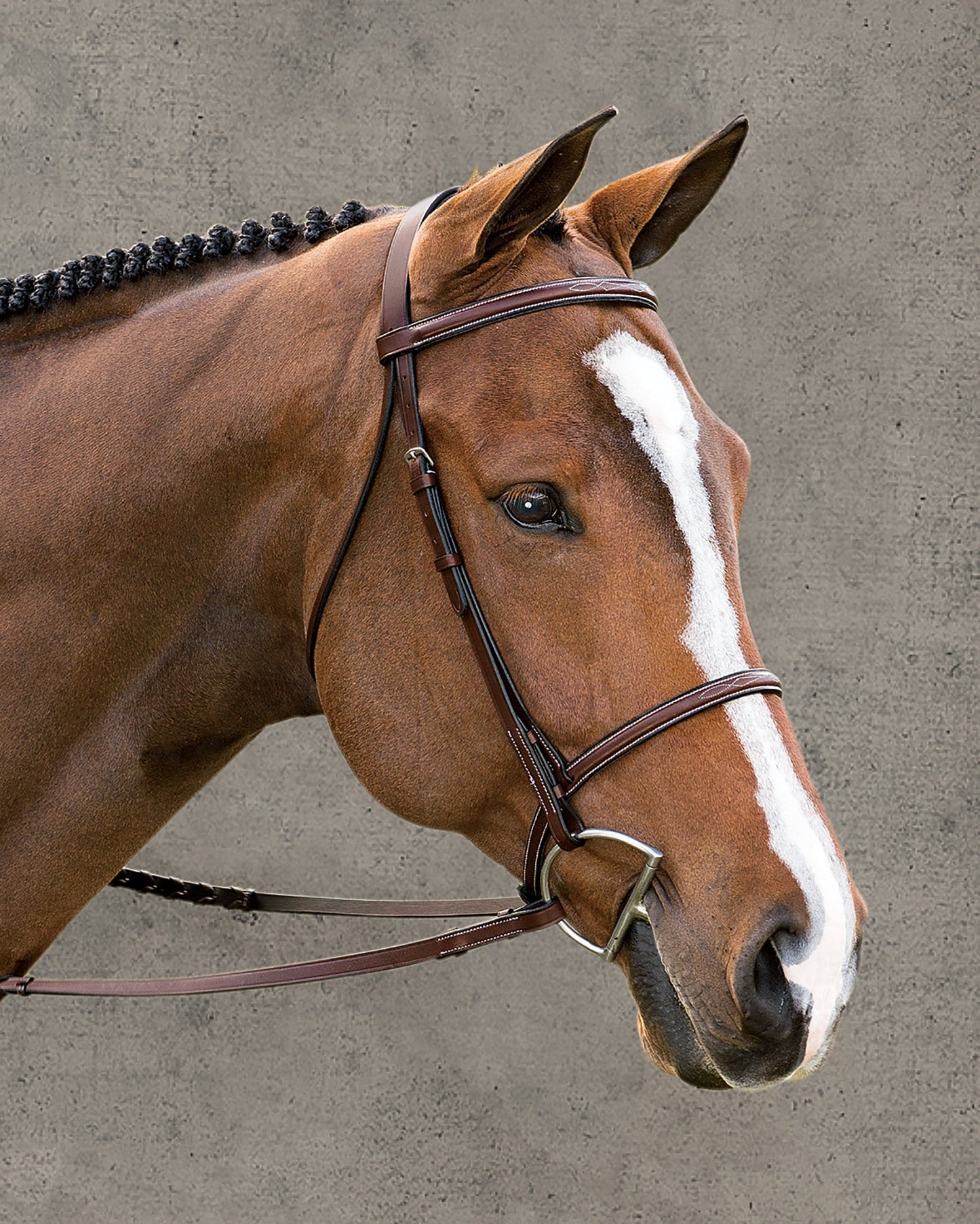 Suffolk Classic Hunter Bridle