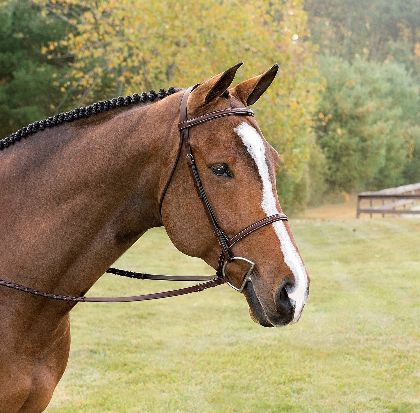 Suffolk Classic Hunter Bridle