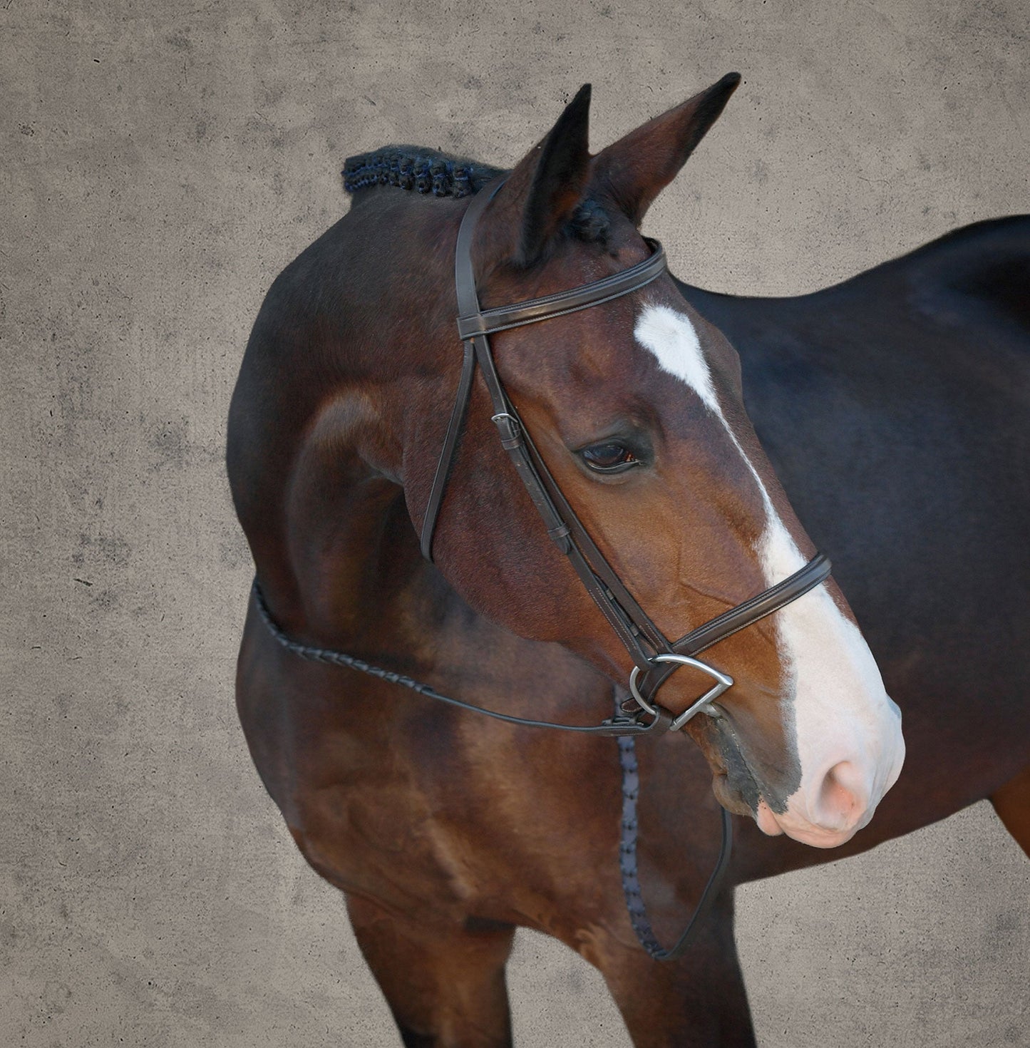 Suffolk Classic Hunter Bridle