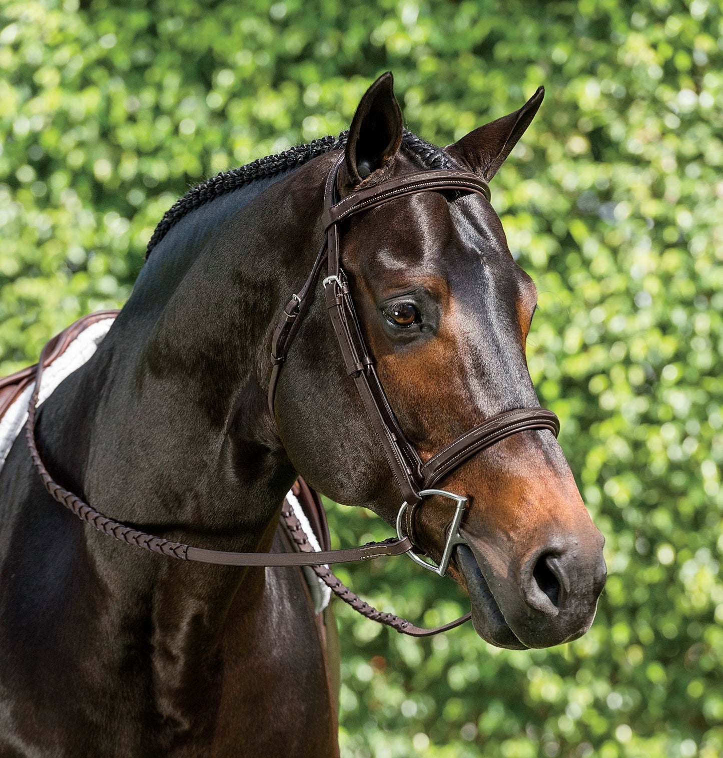Suffolk Single Crown Hunter Bridle