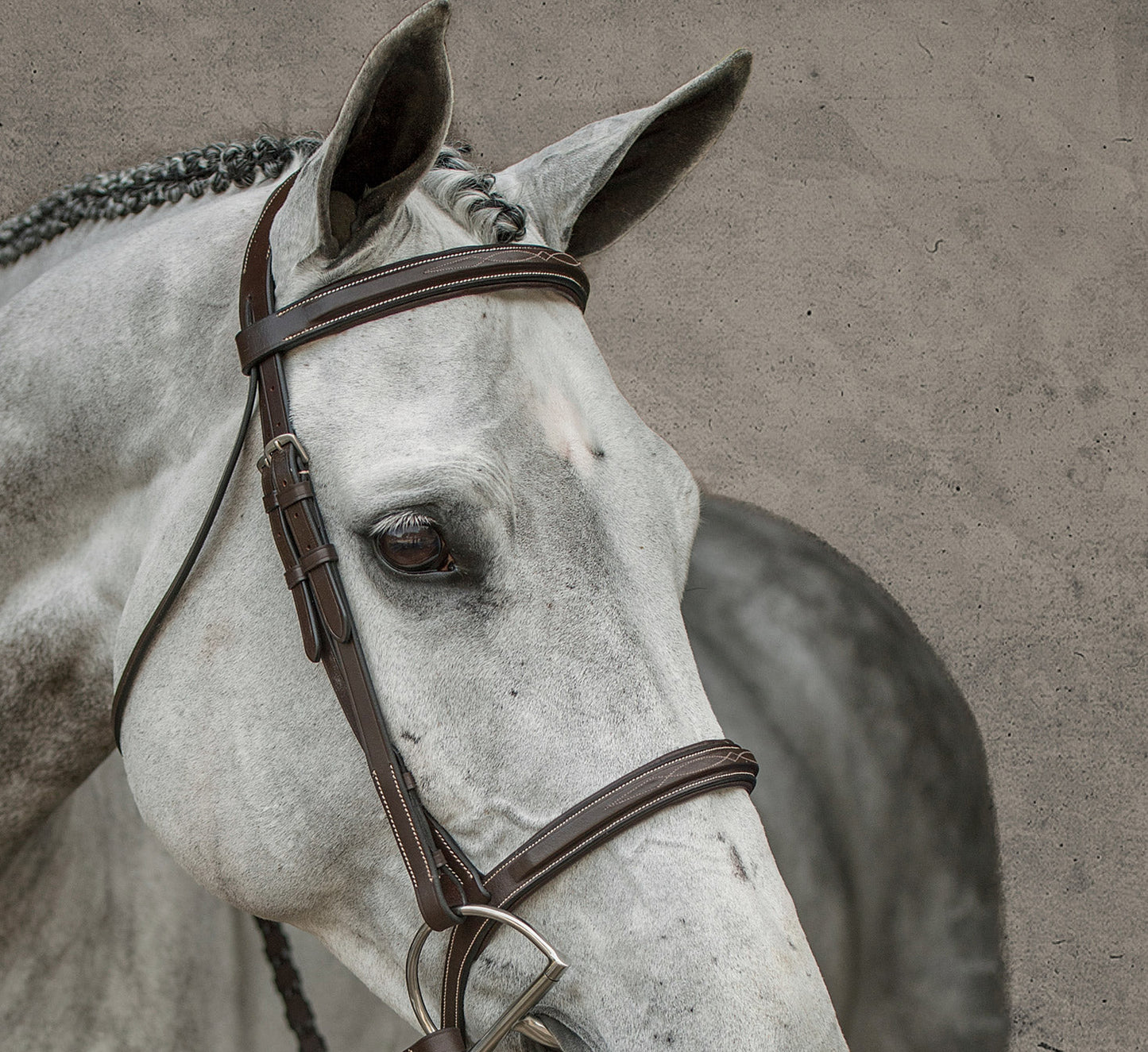 Suffolk Single Crown Hunter Bridle