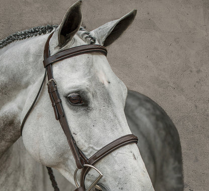 Suffolk Single Crown Hunter Bridle
