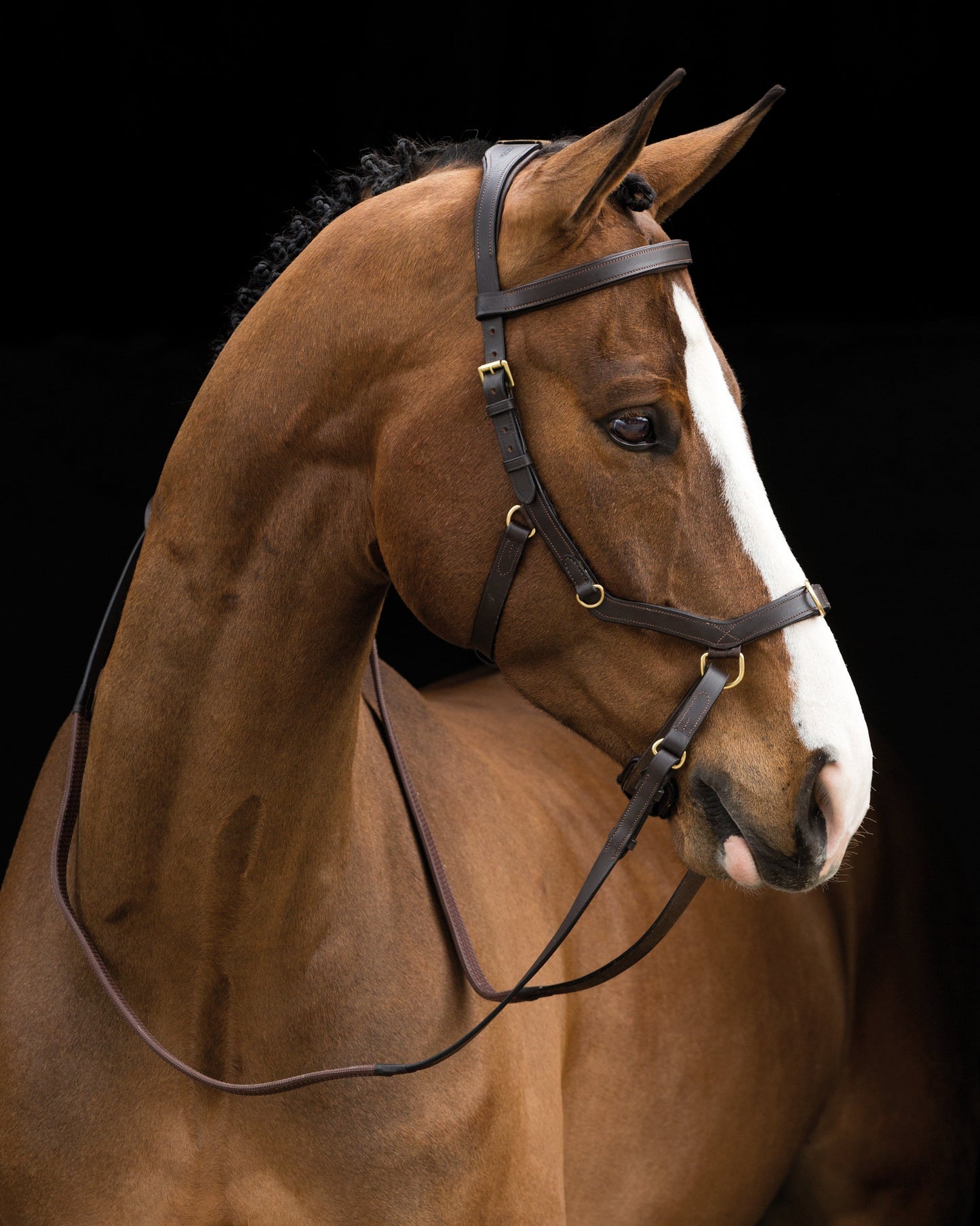 The Rambo Micklem Original Multibridle