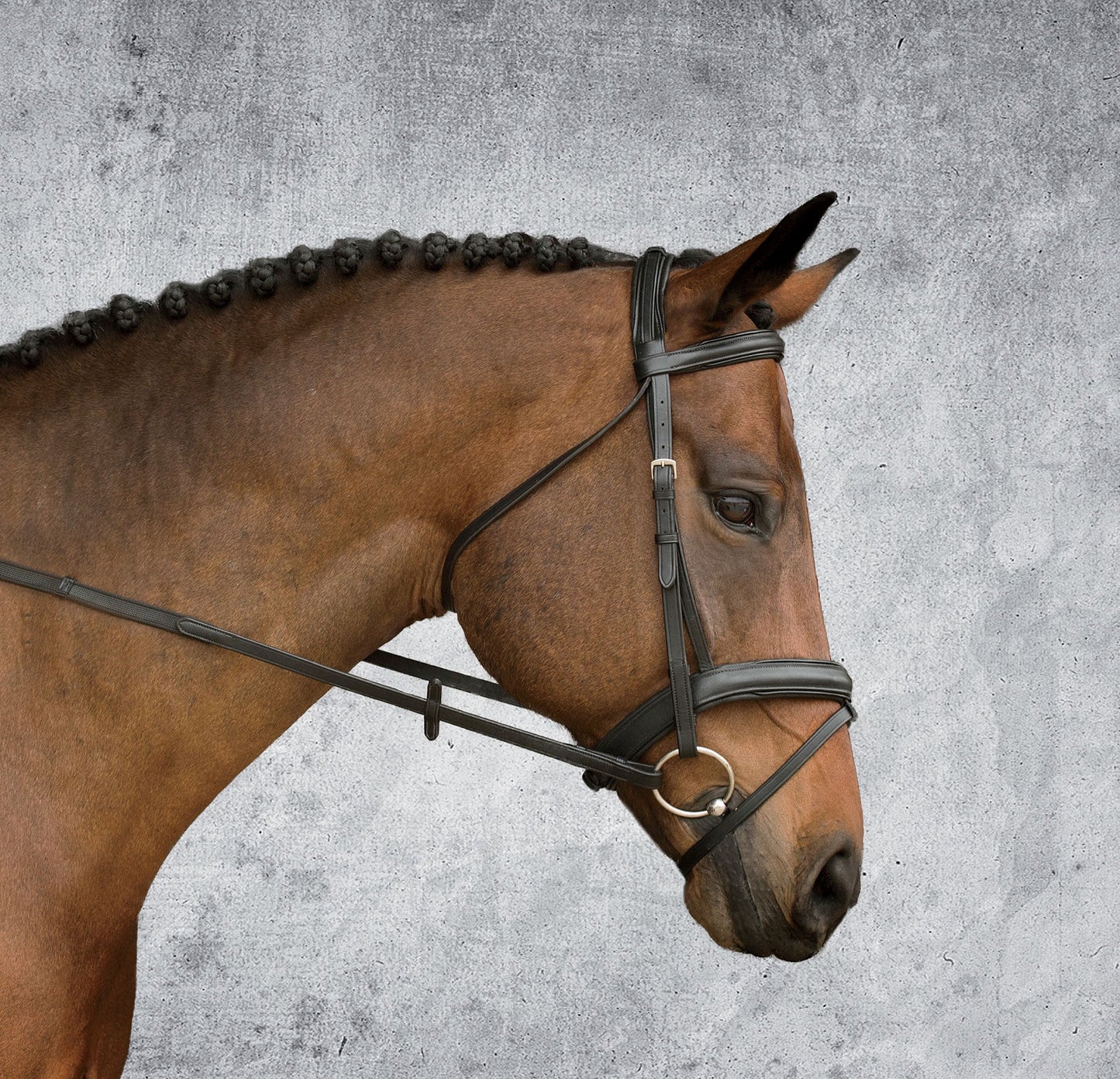 Suffolk Single Crown Padded Dressage Bridle