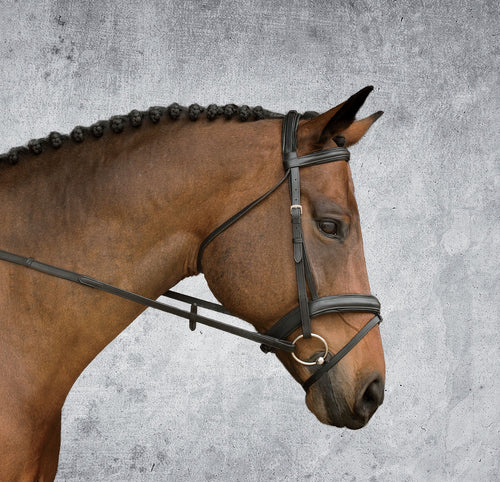 Suffolk Single Crown Padded Dressage Bridle