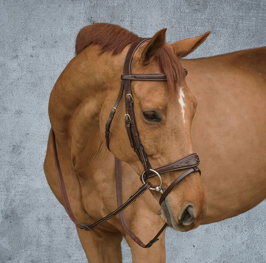 Dy'on Anatomic Bridle