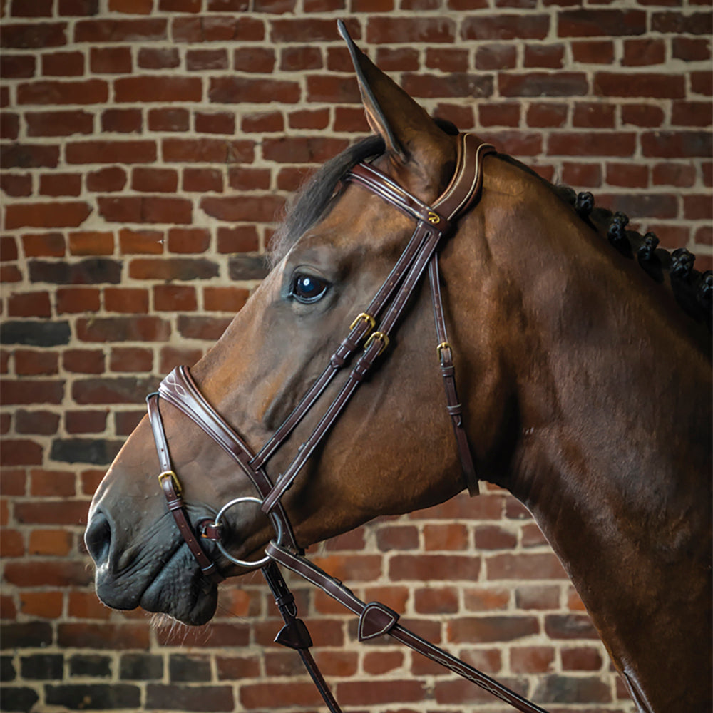 Dy'on Anatomic Bridle