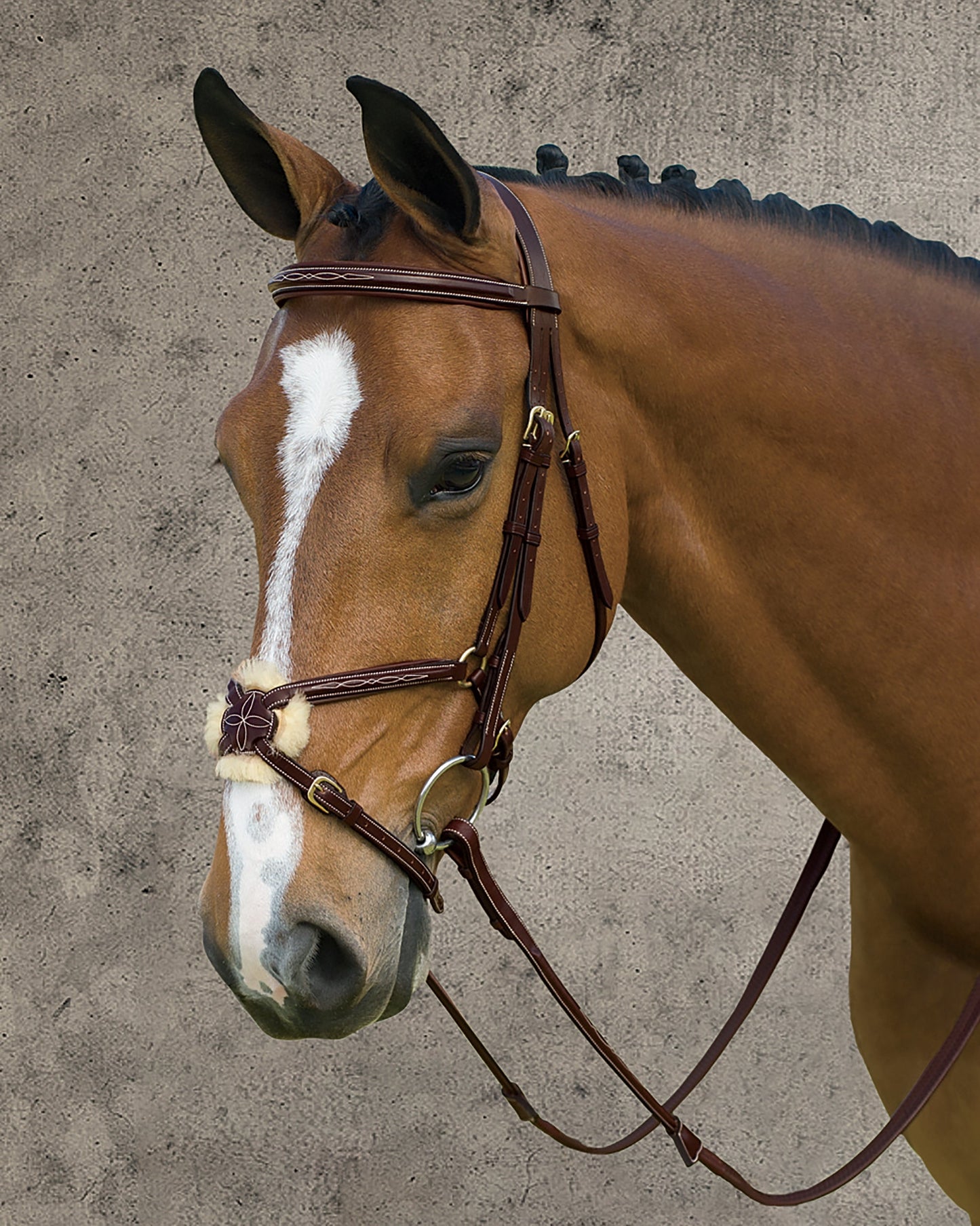 Dy'on Figure-8 Bridle
