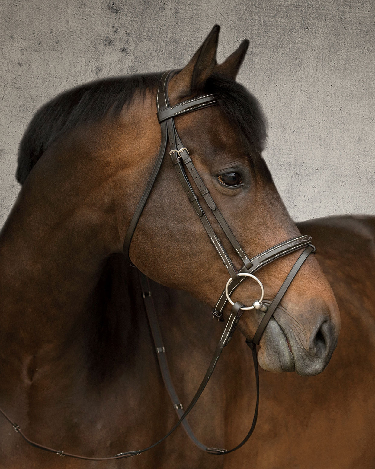 Suffolk Single Crown Flash Bridle