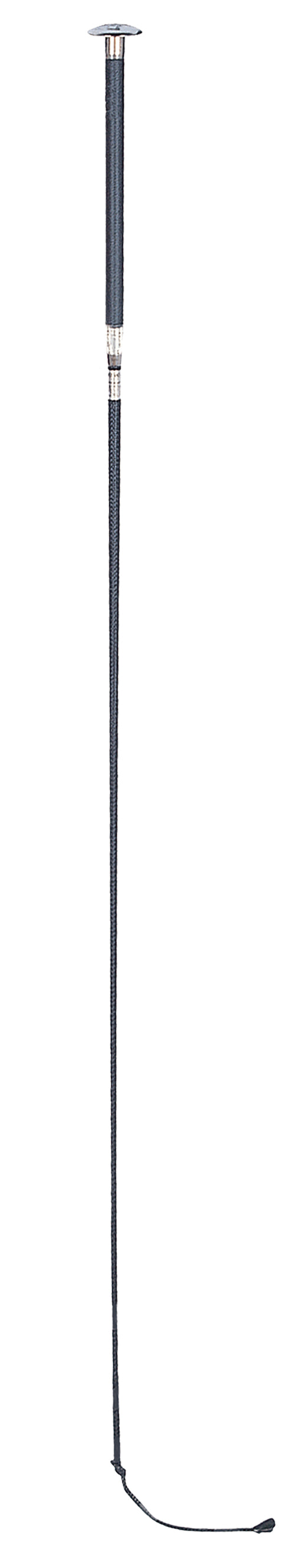 Wonder Whip Dressage Whip