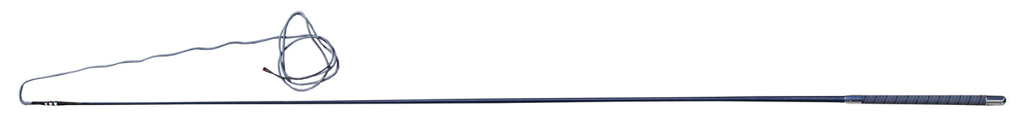 Color Lunge Whip