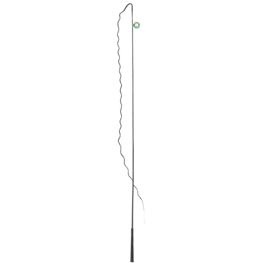 Fleck Schlag Lunge Whip