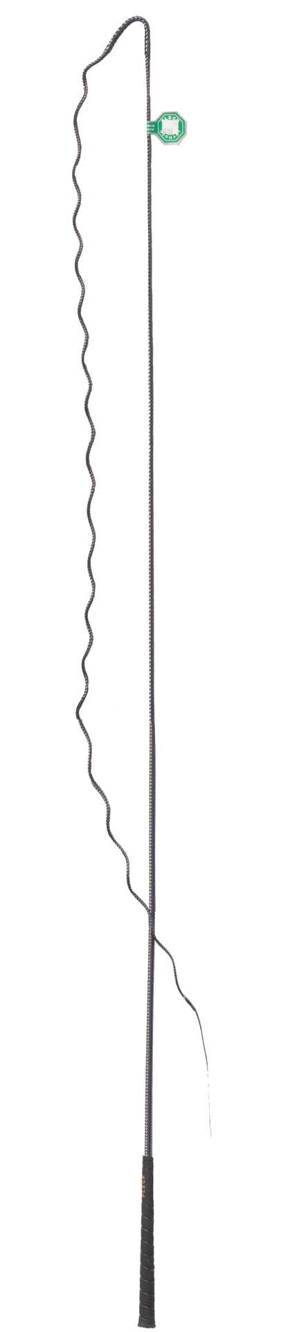 Fleck Schlag Lunge Whip