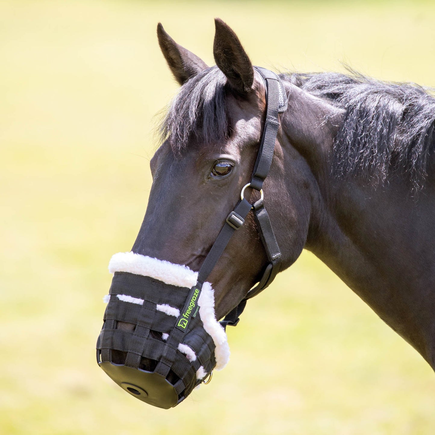 Shires FreeGraze Deluxe Comfort Grazing Muzzle