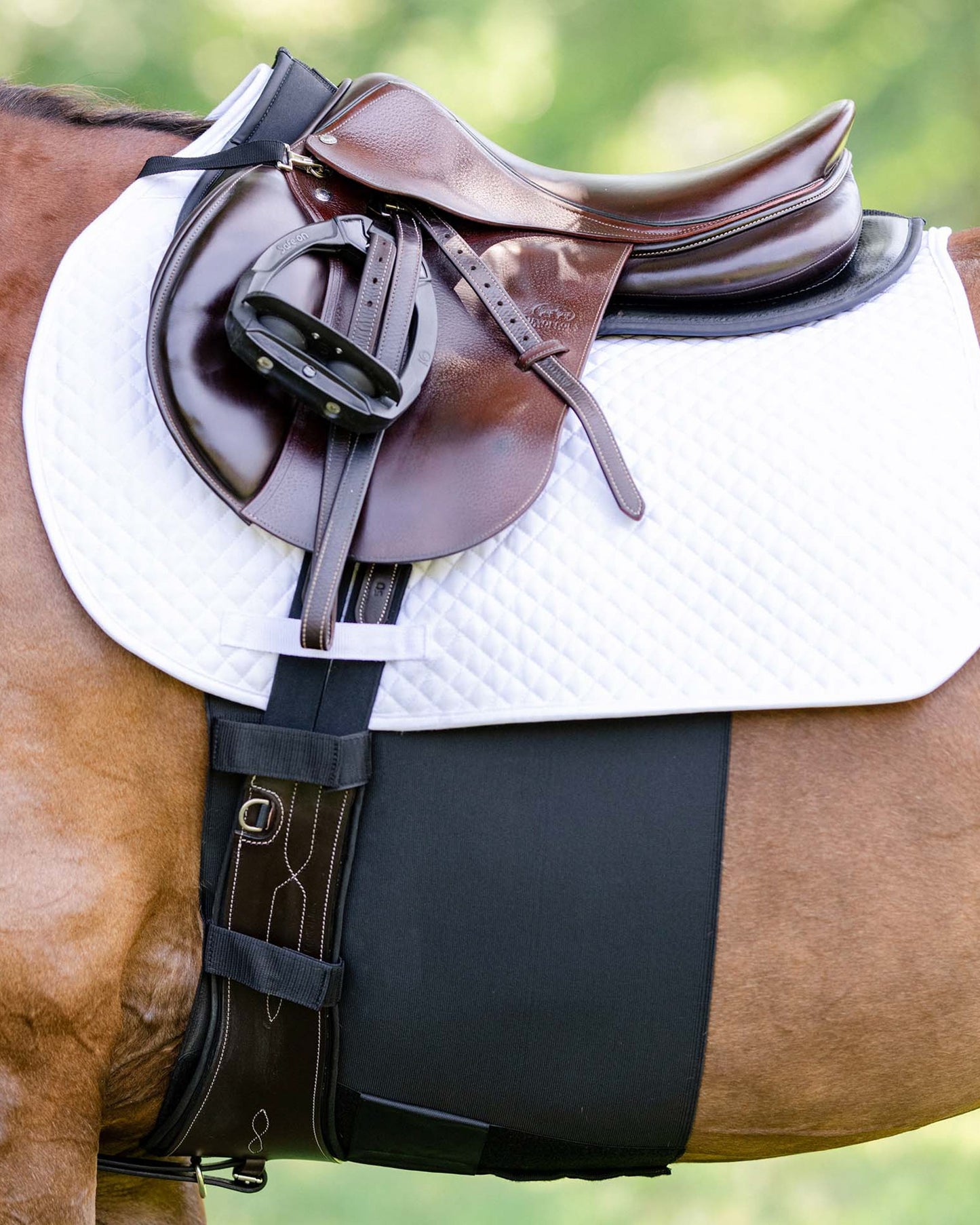 EquiFit BellyBand+ with Fleece
