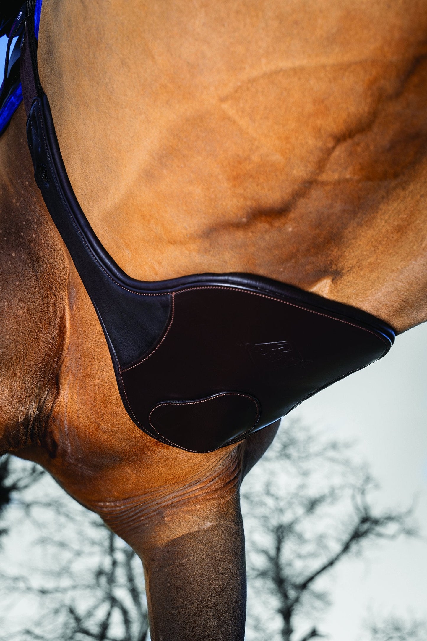 LeMieux Gel-Tek Anatomic Long Stud Girth with Magnet
