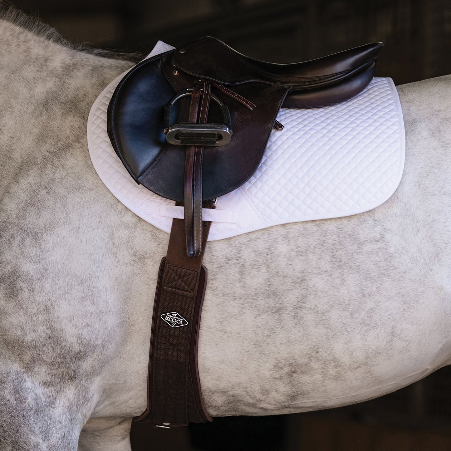 Professional’s Choice 2XCool English Girth