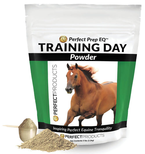 Perfect Prep EQ Training Day