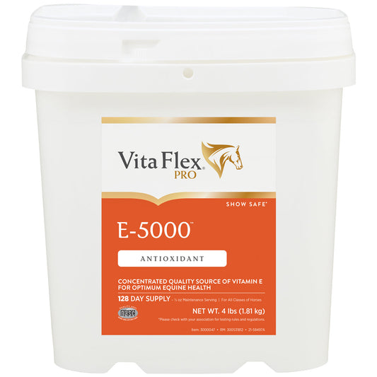 Vita Flex Pro E-5000