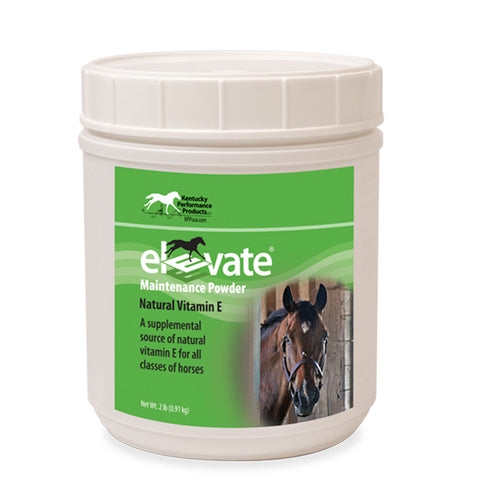 Elevate