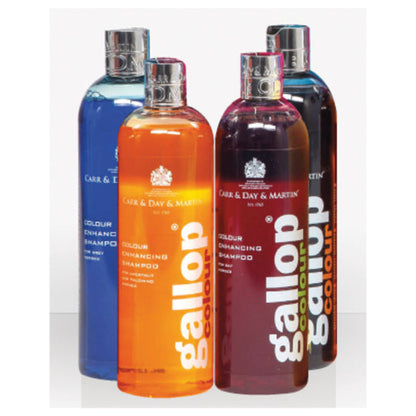 Carr & Day & Martin Gallop Colour Enhancing Shampoo