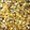 Twinkle Ultra Fine Horse Glitter