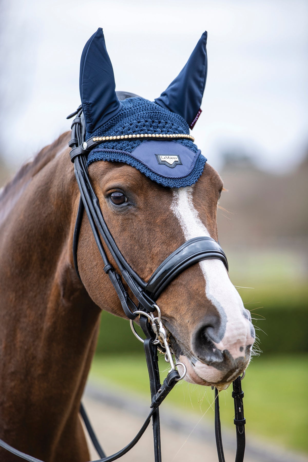 LeMieux Loire Satin Fly Bonnet