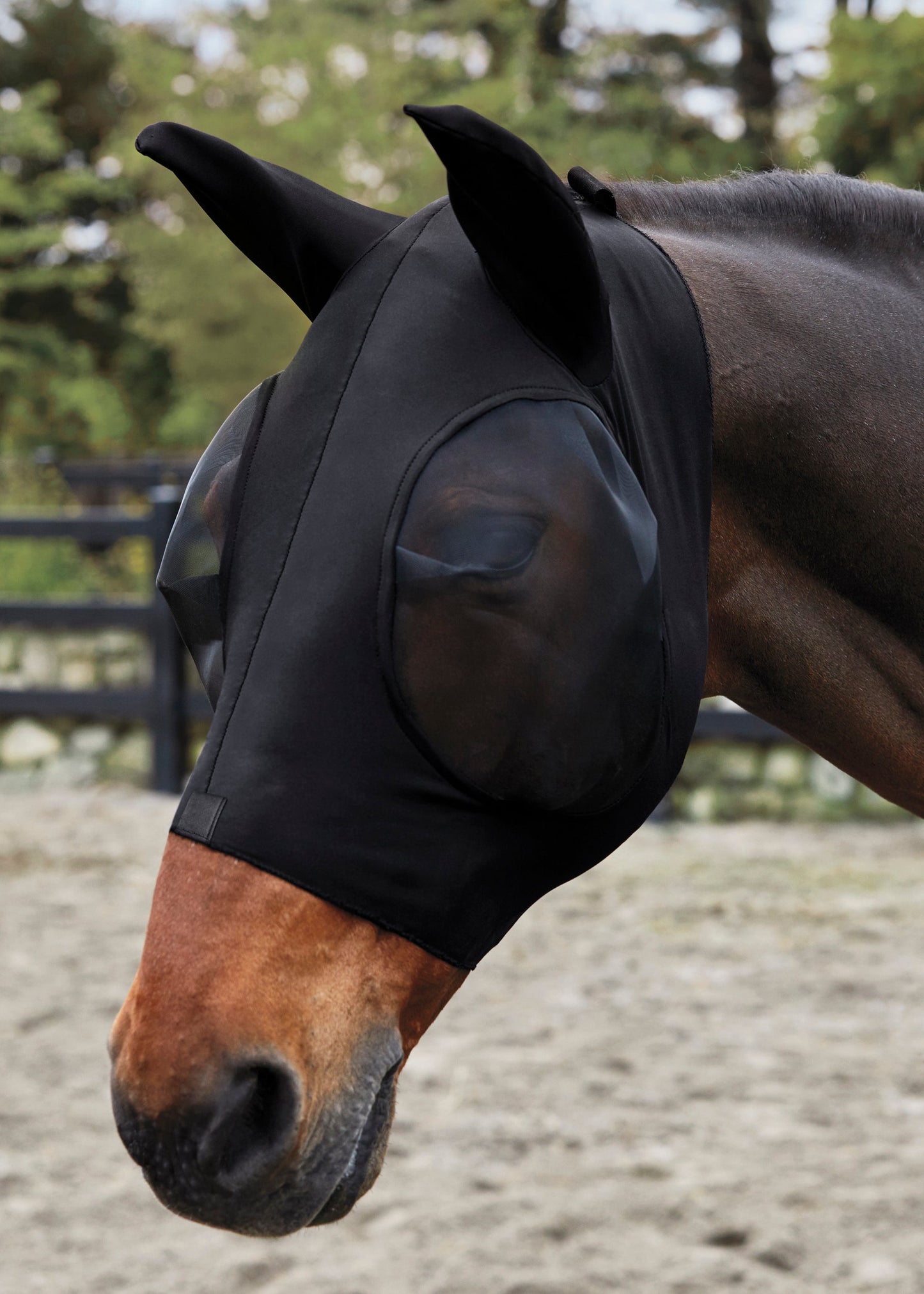 Rider’s International Big-Eye Fly Mask
