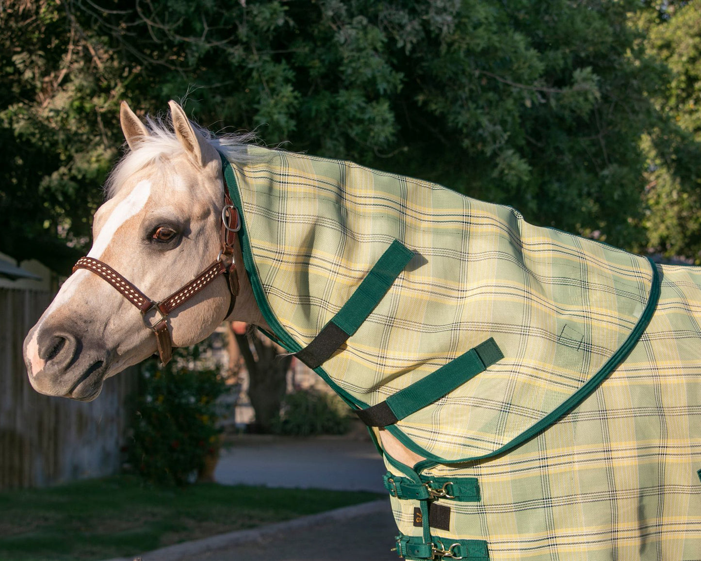 Kensington Textilene Neck Cover