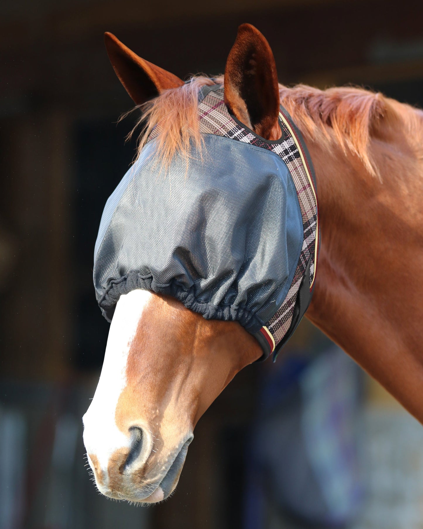 Kensington UViator Dartless Fly Mask with Web Trim & Forelock Opening