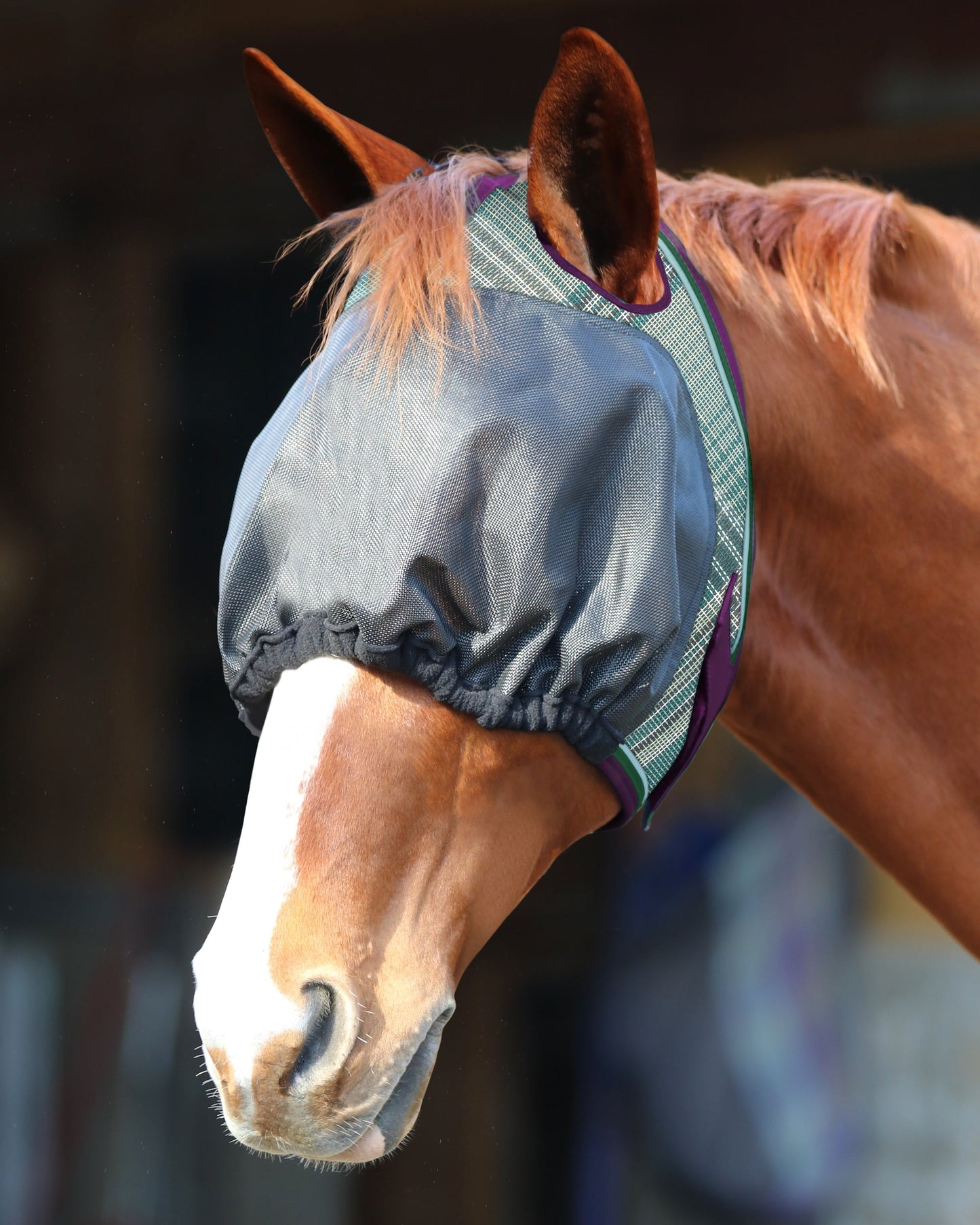 Kensington UViator Dartless Fly Mask with Web Trim & Forelock Opening